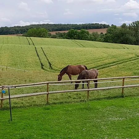 A Larriou Casa de hóspedes Mirepoix (Gers)