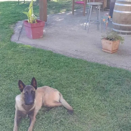 A Larriou Casa de hóspedes Mirepoix (Gers)