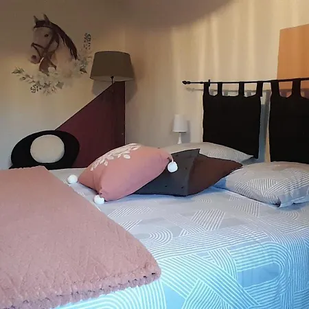 Penzion A Larriou Mirepoix (Gers)