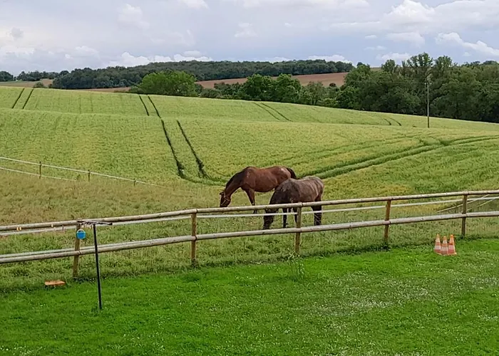 A Larriou Penzion Mirepoix (Gers)