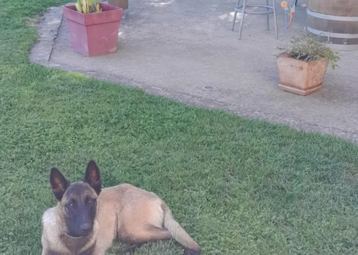 A Larriou Penzion Mirepoix (Gers)