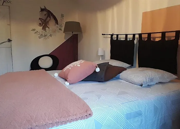 Penzion A Larriou Mirepoix (Gers)